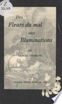Des Fleurs du mal aux Illuminations