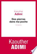Des pierres dans ma poche