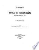 Description des fossiles du terrain éocène des environs de Pau