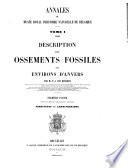 Description des ossements fossiles des environs d'Anvers: ptie. Pinnipèdes ou amphithériens. 1877. (With atlas of 18 pl.)