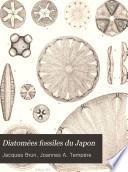 Diatomées fossiles du Japon