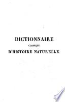 Dictionnaire classique d'histoire naturelle