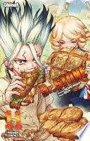 Dr. Stone - Tome 11