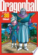 Dragon Ball perfect edition -