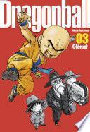 Dragon Ball perfect edition -