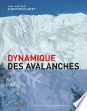 Dynamique des avalanches