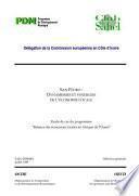 Écoloc, Gérer l'économie localement en Afrique : Evaluation et prospective San Pedro : Dynamismes et synergies de l'économie locale