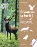 Ecoutons la forêt !