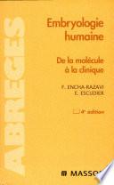 Embryologie humaine