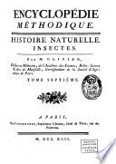 Encyclopédie méthodique: Insectes