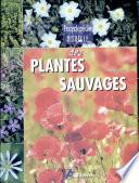 Encyclopédie visuelle des plantes sauvages