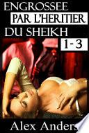 Engrossée par l’héritier du Sheikh 1-3 : Une série romanesque d'Alpha Sheikh (BDSM, Mâle dominant Alpha, Histoire érotique de femme soumise)