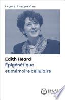 Épigénétique et mémoire cellulaire