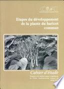 Etapes Du Developpement de la Plante Du Haricot Commun