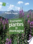 Étonnantes plantes de montagne