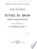Etude géologique du tunnel du Rocio