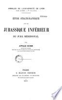 Etude stratigraphique sur le Jurassique inférieur du Jura méridional
