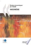 Études économiques de l'OCDE : Indonésie 2010