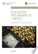 Évaluation préliminaire de l'impact- La réhabilitation de la chaîne de valeur cacao au Ghana: 2018–2028