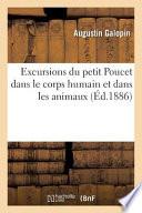 Excursions Du Petit Poucet Dans Le Corps Humain Et Dans Les Animaux