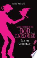 Fais pas l'andouille !