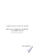 Fermentation en milieu solide