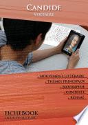 Fiche de lecture Candide (résumé détaillé et analyse littéraire de référence)