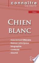 Fiche de lecture Chien blanc de Romain Gary (Analyse littéraire de référence et résumé complet)