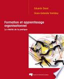 Formation et apprentissage organisationnel