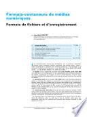 Formats-conteneurs de madias numeriques
