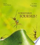 Formidables fourmis !