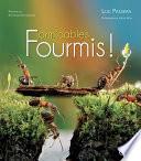 Formidables fourmis !