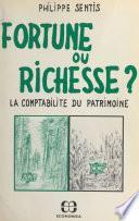 Fortune ou richesse ? La comptabilité du patrimoine
