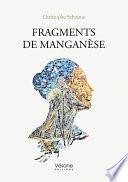 Fragments de manganèse