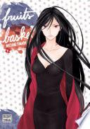 Fruits Basket Perfect T11