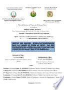 Gestion des Risques Hydro-pluviometriques dans la Vallée du Niger au Bénin: Cas des Inondations des Années 2010, 2012 et 2013 dans les Communes de Manlanville et de Karimama