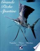 Grande pêche sportive
