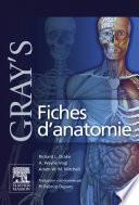 Gray's Fiches D'anatomie / Gray's Anatomy Sheets