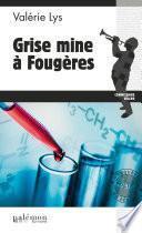 Grise mine à Fougères