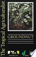 Groundnut