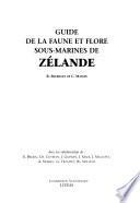 Guide de la faune et flore sous-marines de Zélande
