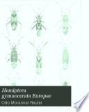 Hemiptera gymnocerata Europae