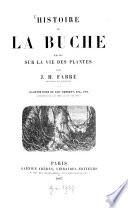Histoire de la Bûche