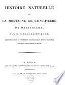 Histoire naturelle de la montagne de Saint-Pierre de Maestricht