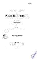 Histoire naturelle des punaises de France