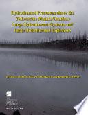 Hydrothermal Processes Above the Yellowstone Magma Chamber