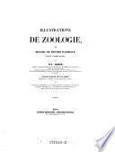 Illustrations de Zoologie, ou Recueil de figures d'animaux peintes d'après nature