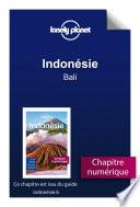 Indonésie - Bali