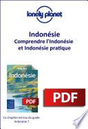 Indonésie - Comprendre l'Indonésie et Indonésie pratique