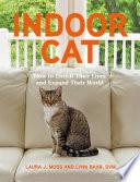 Indoor Cat